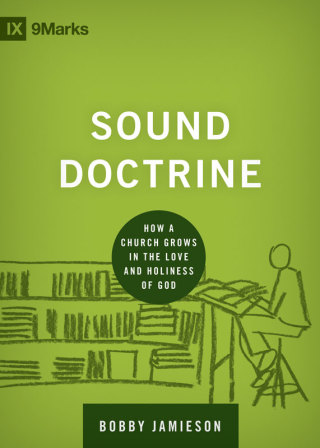 Imagen de portada: Sound Doctrine 9781433535925