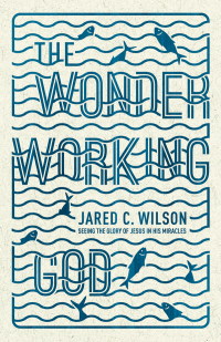 Imagen de portada: The Wonder-Working God 9781433536755