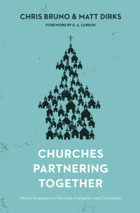 صورة الغلاف: Churches Partnering Together 9781433541292