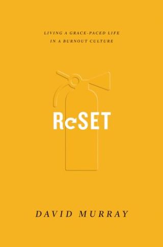 Imagen de portada: Reset 9781433555213