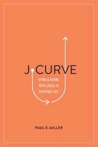 Cover image: J-Curve 9781433561597