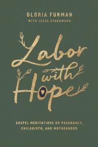 Omslagafbeelding: Labor with Hope 9781433563102