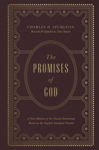 Cover image: The Promises of God 9781433563270