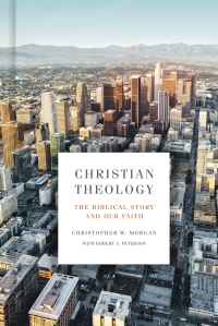 Cover image: Christian Theology 1st edition 9781433651021
