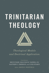 Cover image: Trinitarian Theology 1st edition 9781535958066