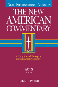 Cover image: Acts 1st edition 9780805401264