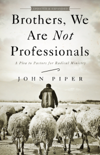 Cover image: Brothers, We Are Not Professionals 1st edition 9781433678820