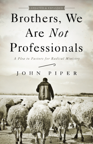 Imagen de portada: Brothers, We Are Not Professionals 1st edition 9781433678820