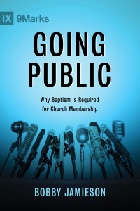Cover image: Going Public 1st edition 9781433686207