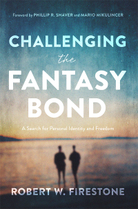 表紙画像: Challenging the Fantasy Bond 9781433835810