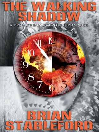Cover image: The Walking Shadow 9781479400508
