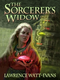 Omslagafbeelding: The Sorcerer's Widow 9781434441751
