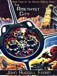 Cover image: The Amethyst City 9781434445902