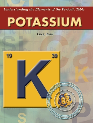 Imagen de portada: Potassium 9781404219649