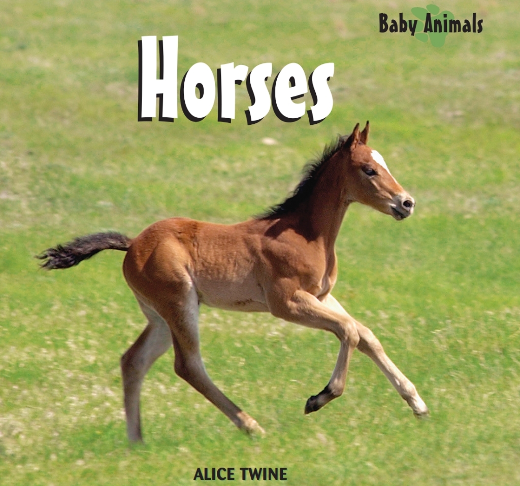 Horses