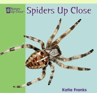 Cover image: Spiders Up Close 9781404241381