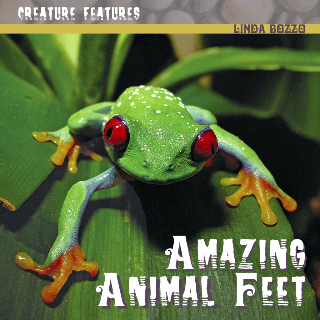 Amazing Animal Feet