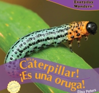 Cover image: It’s a Caterpillar! 9781404244597