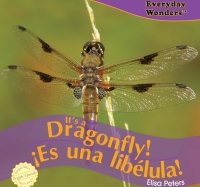Imagen de portada: It’s a Dragonfly! 9781404244603