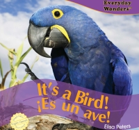 Cover image: It’s a Bird! 9781404244610