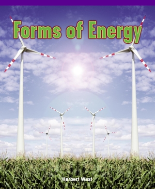 Imagen de portada: Forms of Energy 9781435829756