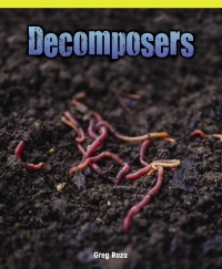 Imagen de portada: Decomposers 9781435829817