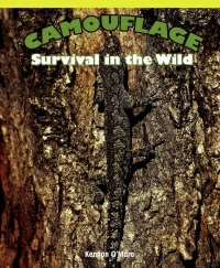 Cover image: Camouflage 9781435829855