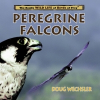 Cover image: Peregrine Falcons 9780823955985