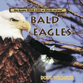 Imagen de portada: Bald Eagles 9780823955954