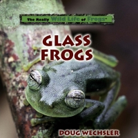 Imagen de portada: Glass Frogs 9780823958573