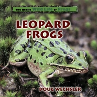 Omslagafbeelding: Leopard Frogs 9780823958566