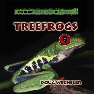 Imagen de portada: Treefrogs 9780823958597