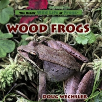 Omslagafbeelding: Wood Frogs 9780823958542