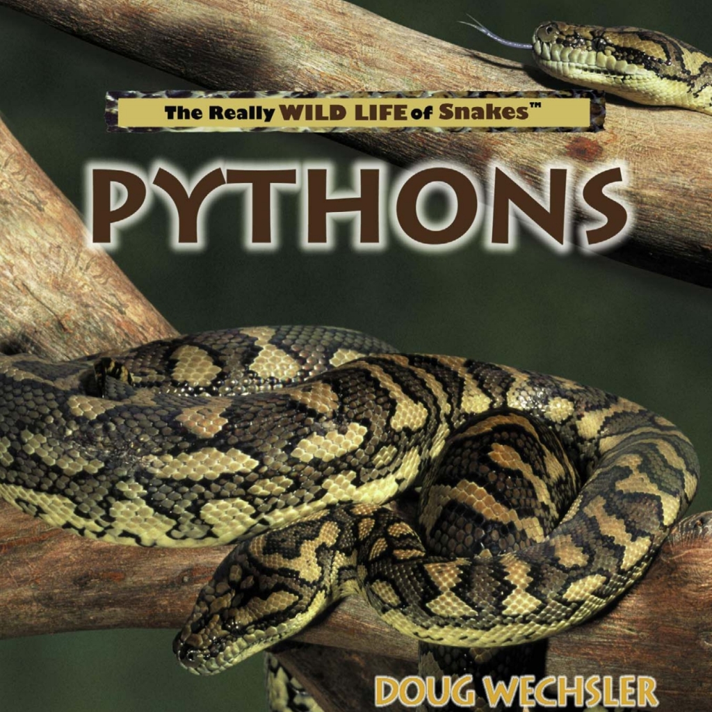 Pythons (eBook)