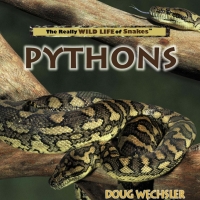 Imagen de portada: Pythons 9780823956043