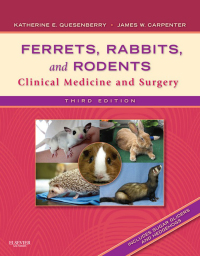 Cover image: Ferrets, Rabbits and Rodents 3rd edition 9781416066217