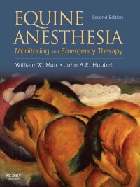 表紙画像: Equine Anesthesia 2nd edition 9781416023265