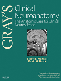 صورة الغلاف: Gray's Clinical Neuroanatomy 9781416047056