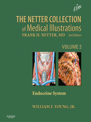 Immagine di copertina: Netter Collection of Medical Illustrations: Endocrine System 2nd edition 9781416063889