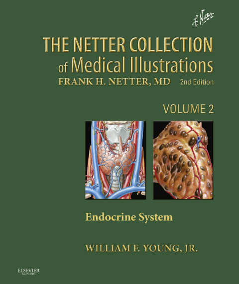 Netter Collection of Medical Illustrations: Endocrine System: Volume 2, 2nd Edition - FULL INSTANT DOWNLOAD | PDF DOCX EPUB