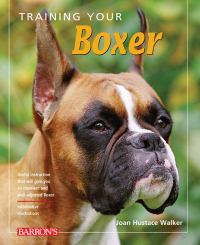 表紙画像: Training Your Boxer 2nd edition 9780764146008