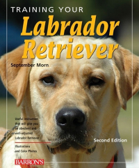 Imagen de portada: Training Your Labrador Retriever 2nd edition 9780764142550
