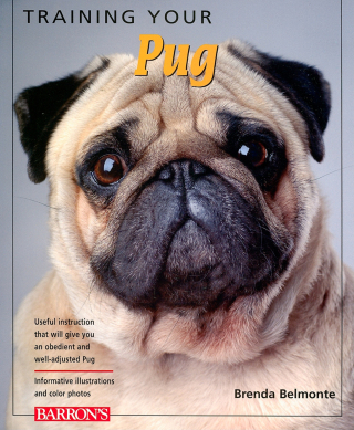 Imagen de portada: Training Your Pug 9780764140297