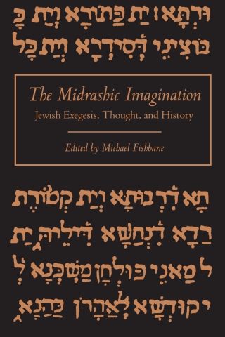 Cover image: The Midrashic Imagination 9780791415214