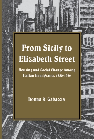 Cover image: From Sicily to Elizabeth Street 9780873957694