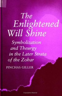 Omslagafbeelding: The Enlightened Will Shine 9780791417119