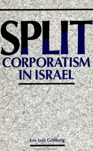 Cover image: Split Corporatism in Israel 9780791407066