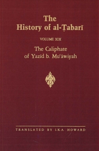 Cover image: The History of al-Ṭabarī Vol. 19 9780791400401