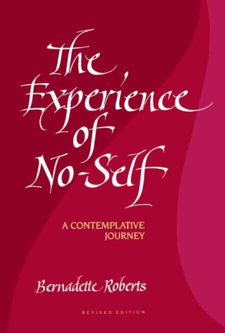 Cover image: The Experience of No-Self 9780791416945