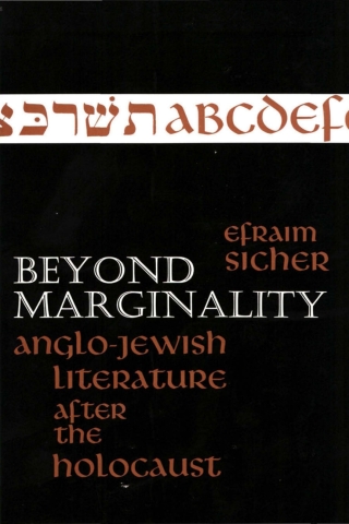 表紙画像: Beyond Marginality 9780873959766